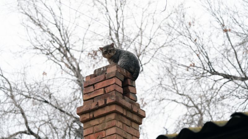 Chimney Removal